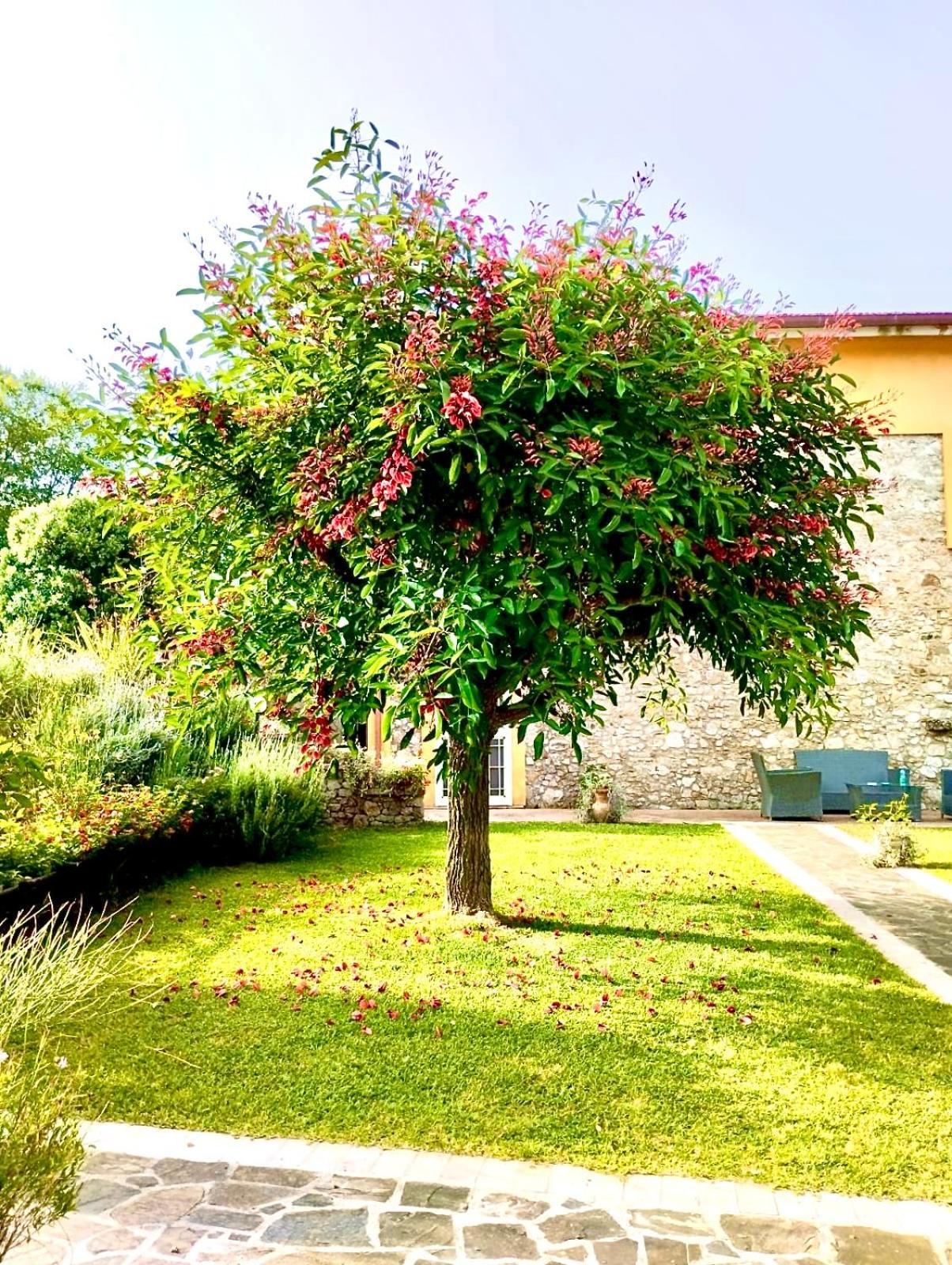 Country House Felicia Giungano Exterior foto